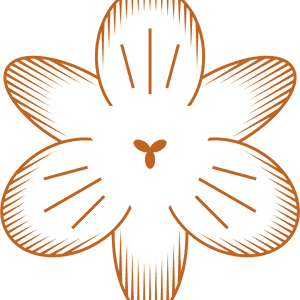𝟐𝟎𝟐𝟓 – ANUL TRANSFORMARII TALE - comunitate - integral